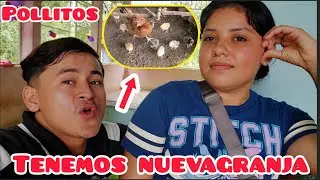 NOMELO PUEDO CREER LOS CATALEYOS TIENEN NUEVA GRANJA DE POLLOS 🐔 WOW