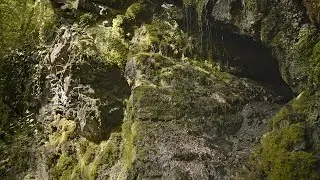The Cave - Water dripping next to a river - Soothing Ambience