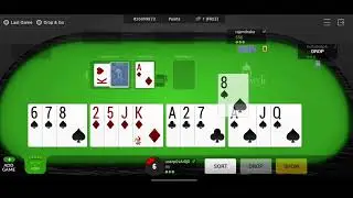 Taj Rummy - Game Play