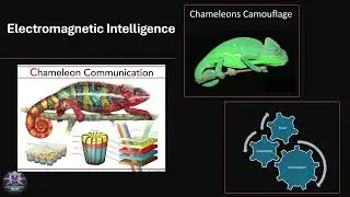 Electromagnetic Intelligence: Smart Materials that Sense, Compute, and Think