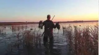 TCT's Fowl Fanatics Fall Season