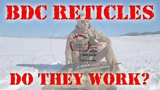Ballistic BDC reticles: Do they work? (Ruger American Ranch 5.56, Vortex Strike Eagle & Tactacam)