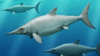 New Ichthyosaur Discovered...