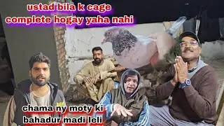 Chama ny moty ki bahadur madi leli😯cage complete hugay yaha nahi ustad bila ka pegam 
