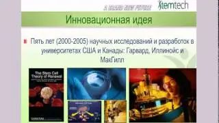 Компания StemTech