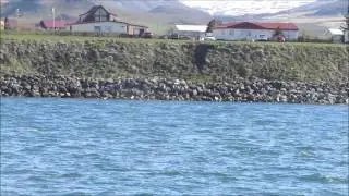 Hrisey to &aacute;rsk&oacute;gssandur ferry trip