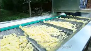 Potato Chips Blanching and Cooling Machine