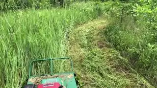Billy Goat Brush Cutter