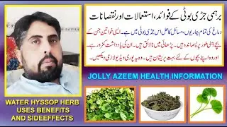 brahmi booti kay istimal fawaid aor nuqsan | bacopa monnieri/water hyssop benefits and sideeffects |