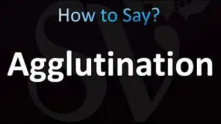 How to Pronounce Agglutination (CORRECTLY!)