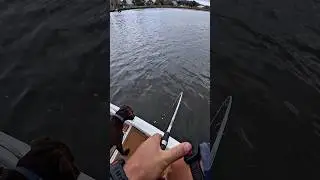 Советы по ловле морского окуня в чистой воде. Все это и многое другое в новом видео на YouTube, к...
