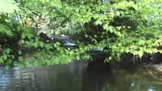 Calmer  By Nature- the Original DVD to Help, Stress and Sensory Problems (1).flv