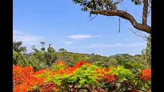 5 Scott Street, Byron Bay - First National Byron Bay