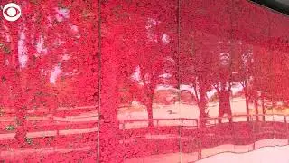 Poppy Wall of Honor installation returns to Washington, D.C. for Memorial Day