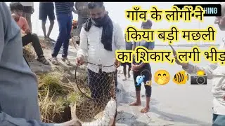 गाँव के लोगों ने किया बड़ी मछली का शिकार🎣लगी भीड़🤭 #video #viral #trending #status #fish #fishing