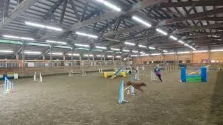 Paris' Redbone Coonhound Agility Practice -- Dec 2025 unedited 