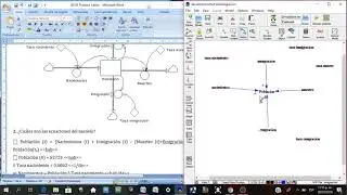 Diagrama causal - Vensim