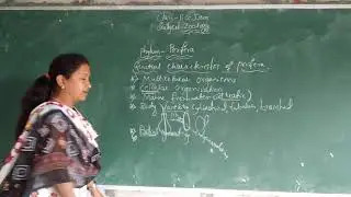 General characters of porifera