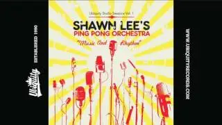 Shawn Lee's Ping Pong Orchestra: Bongo Fury