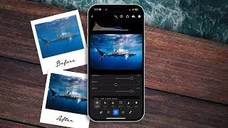 How to edit your underwater Gopro Photos on Lightroom Mobile | for Beginners | No commentary