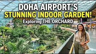 Exploring The Orchard: Doha Airport&rsquo;s Stunning Indoor Tropical Garden!
