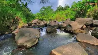 Relaxing Water Flow &ndash; 10 Hours of River ASMR for Stress and Focus Balance
