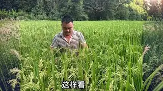家里来稀客准备几道硬菜好好招待，有说有笑真热闹