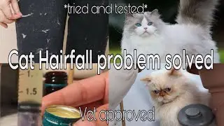 Stop Hair fall in Cats|Tried &Tested|Vet approved|Meows n Paws