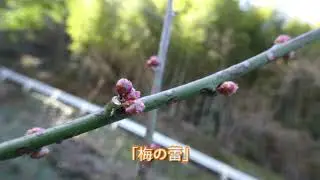Slow Life VLOG 今日も寒起こしをした