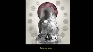 Cellar Darling - Challenge 