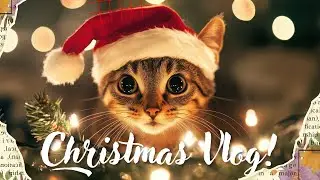Christmas Market Tour | Distillery District