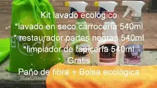 Lavado en seco de auto ECOLAVADO