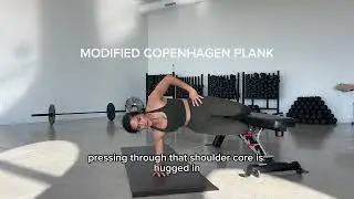 Modified Copenhagen Plank (from bench)