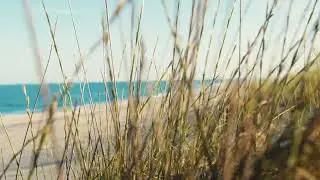 Beach feelings