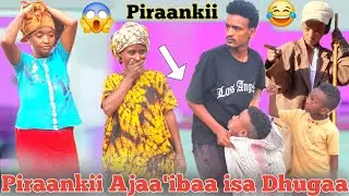 Piraankii Isaa Dhugaa Baayyee nama aja'aibu😱😂