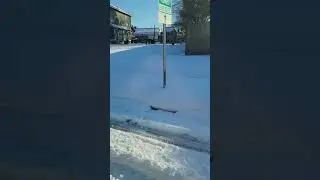 После нескольких дней, проведенных дома, пришло время выбраться на улицу! Прекрасный день 🌞 😊 💕
