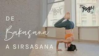 CÓMO PASAR DE BAKASANA A SIRSASANA Y VUELTA A BAKASANA ¡SIN NECESIDAD DE FUERZA EN BRAZOS O ABDOMEN!
