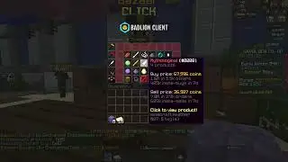 BEST HYPIXEL SKYBLOCK MONEY MAKING METHOD | BAZAAR FLIPPING Macro Mod | 85m each hour | august 2025