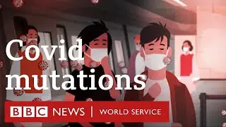 Covid-19: Could mutations to the coronavirus make it more dangerous? - BBC World Service