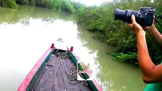 Azhar Vlogs | Deep inside the Sundarbans | Sundarban The Largest Mangrove Forest in the world