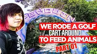 We Explored This Zoo In Thailand With A GOLF CART! Khao Kheow Open Zoo Animal Feeding  | PART 1