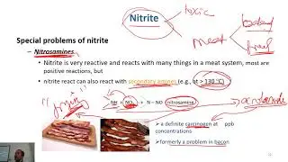 C7-03 curing - effects of nitrite| Meat Technology