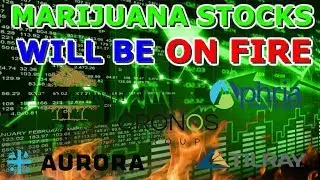 Aphria up 20% after hours - Green Growth buyout - MJ stocks will be on fire tomorrow ? buy or sell