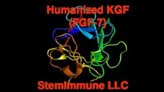 Unlocking the Secrets of FGF-7: The Future of Cellular Growth
