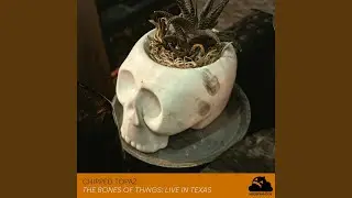 Practical Prey (Tristram) (Live)