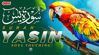 Surah Yasin (Yaseen) Full 🕌 Beautiful Quran 🕌 Dua Blessing Rizq & Wealth | Powerful Islamic Dhikr