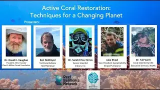 Active Coral Restoration: Techniques for a Changing Planet