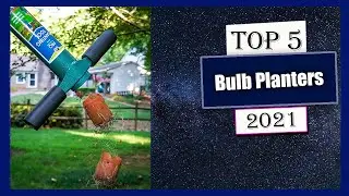 5 Best Bulb Planters New Model 2021