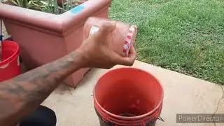 Fertilizing for Flowering Transition & Microbial Boost (The Grow Variety Show ep. 76)