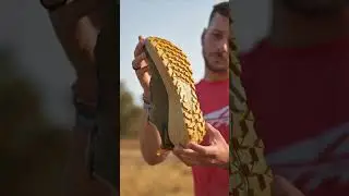 Altra Experience Wild 2